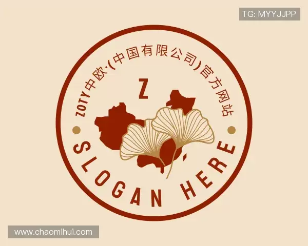 介绍zoty中欧